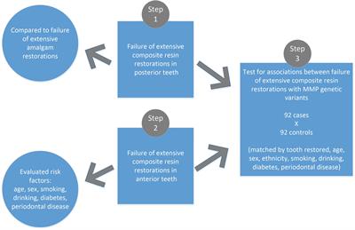 A Pragmatic Study Shows Failure of Dental Composite Fillings Is Genetically Determined: A Contribution to the Discussion on Dental Amalgams